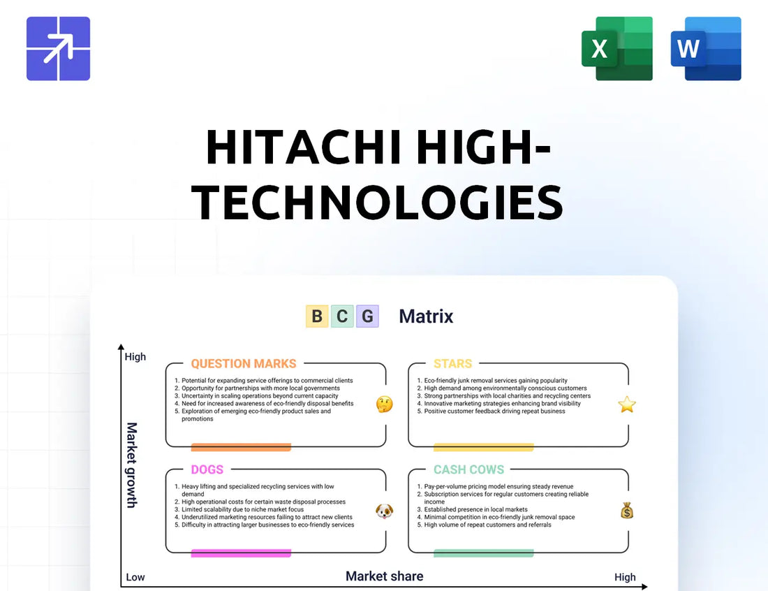 Hitachi Hightech Bcg Matrix