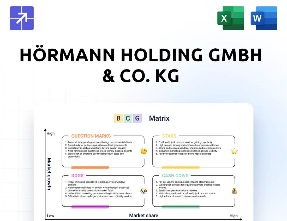 Hoermann Gruppe Bcg Matrix