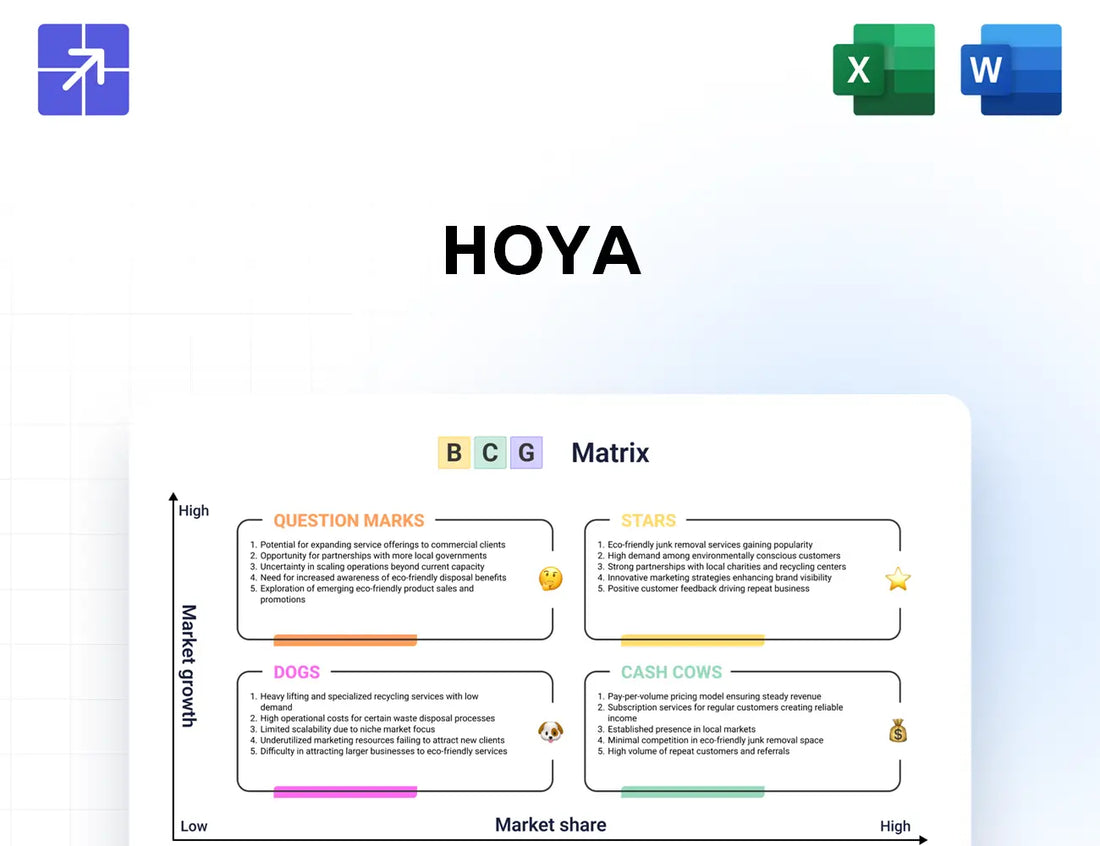 Hoya Bcg Matrix
