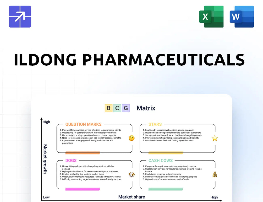 Ildong Bcg Matrix