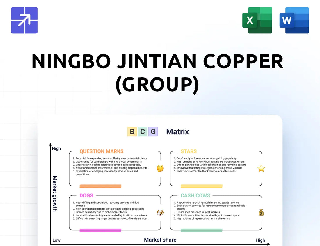Jintiancopper Bcg Matrix