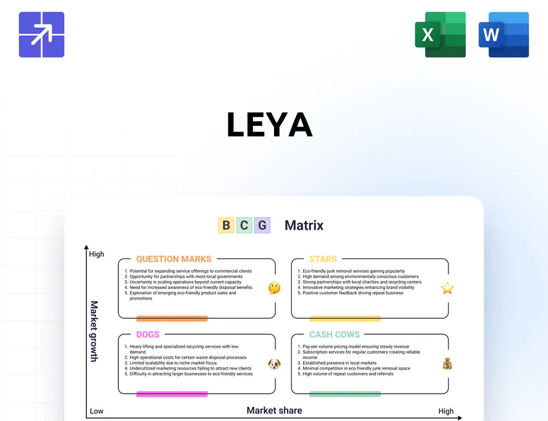 Leya Bcg Matrix