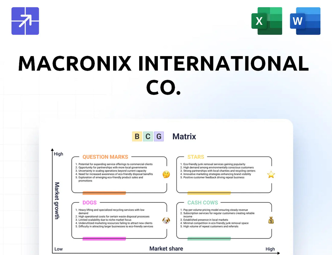 Macronix Bcg Matrix