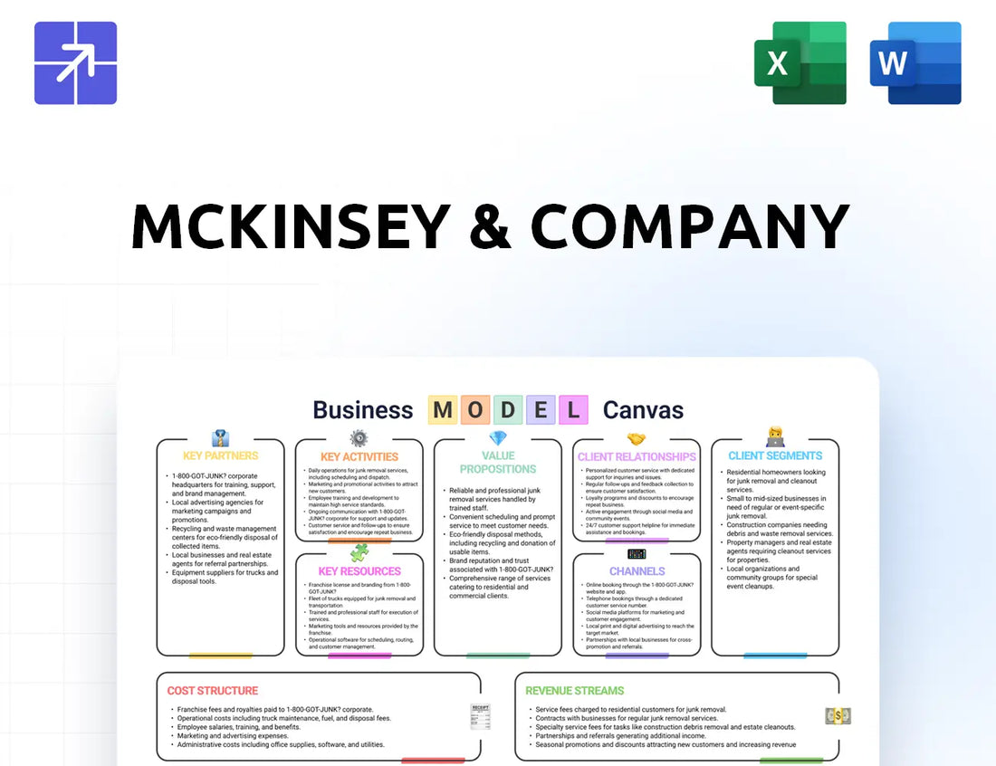 Mckinsey Canvas Business Model
