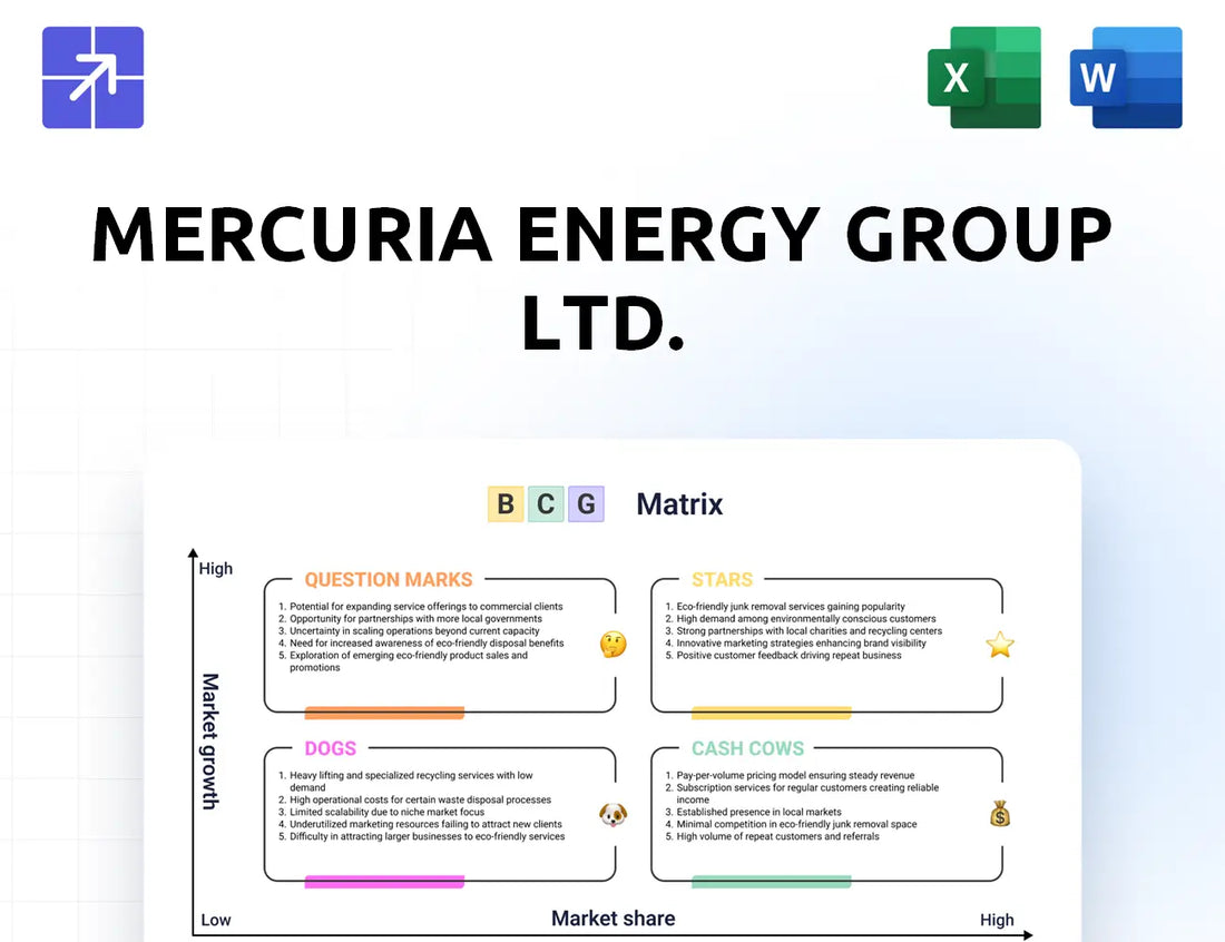 Mercuria Bcg Matrix