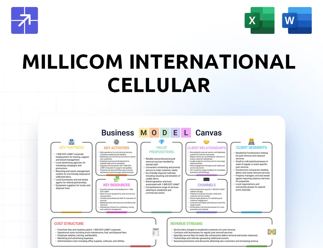 Millicom Canvas Business Model