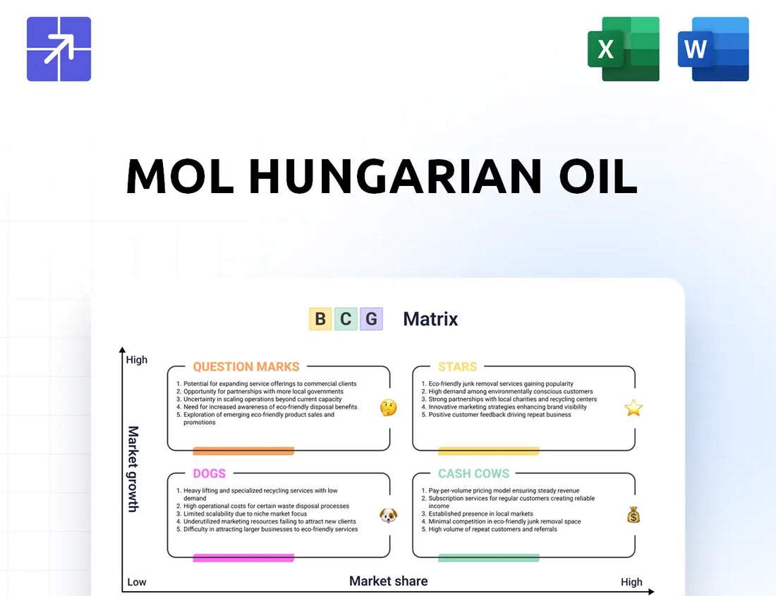 Molgroup Bcg Matrix