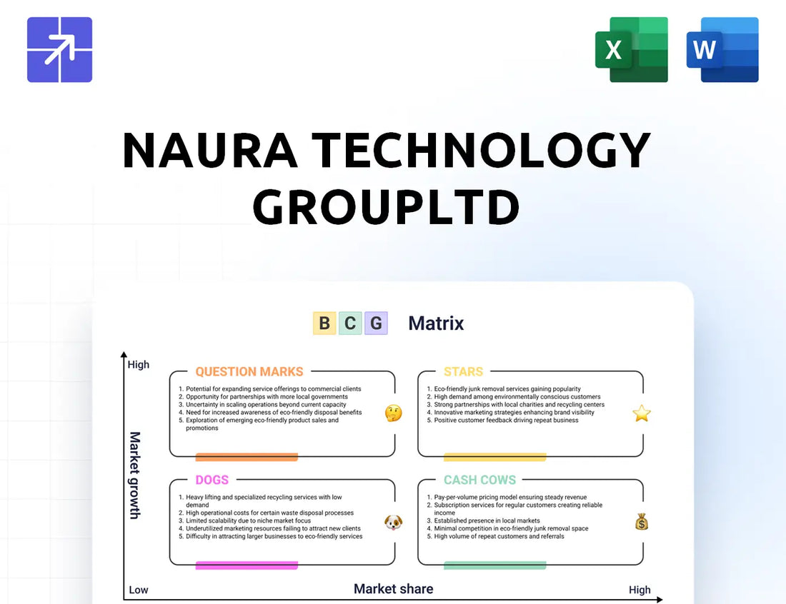 Naura Bcg Matrix