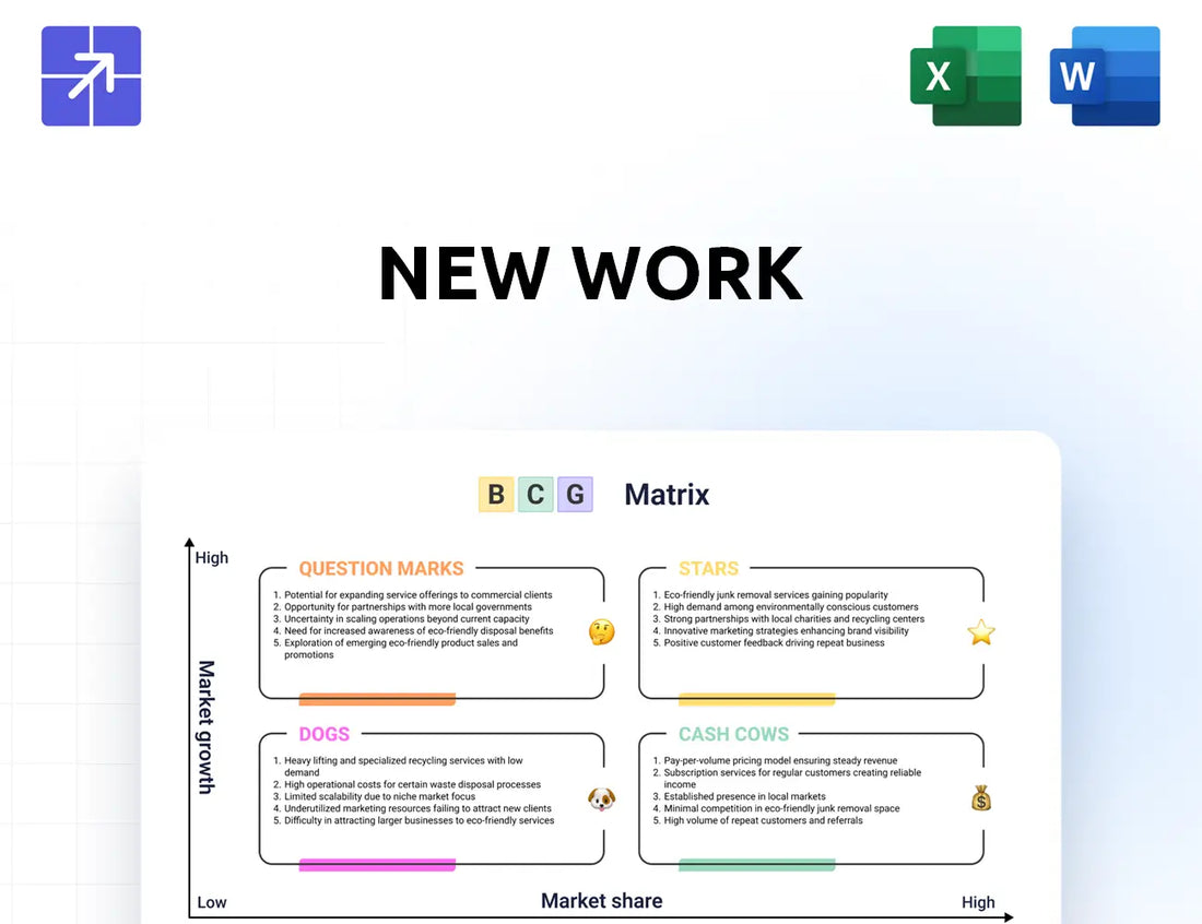 New Work Bcg Matrix