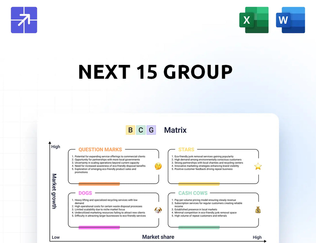 Next15 Bcg Matrix