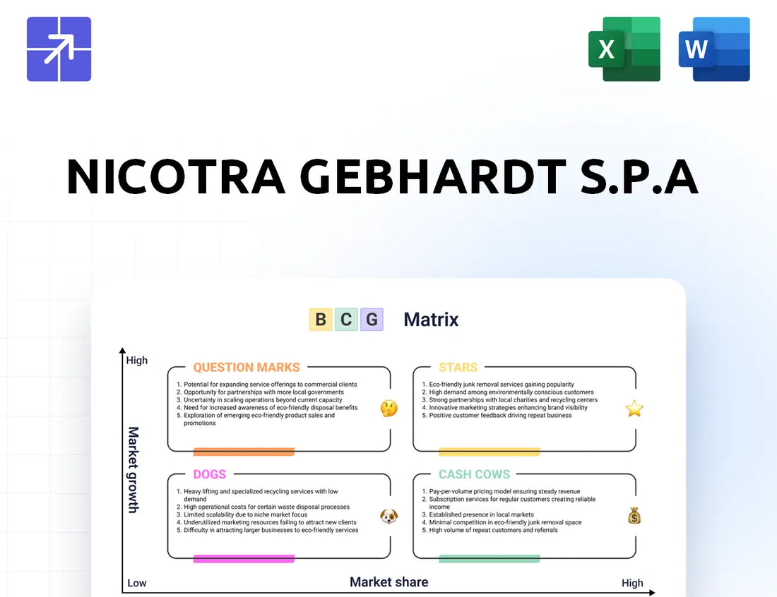 Nicotra Gebhardt Bcg Matrix