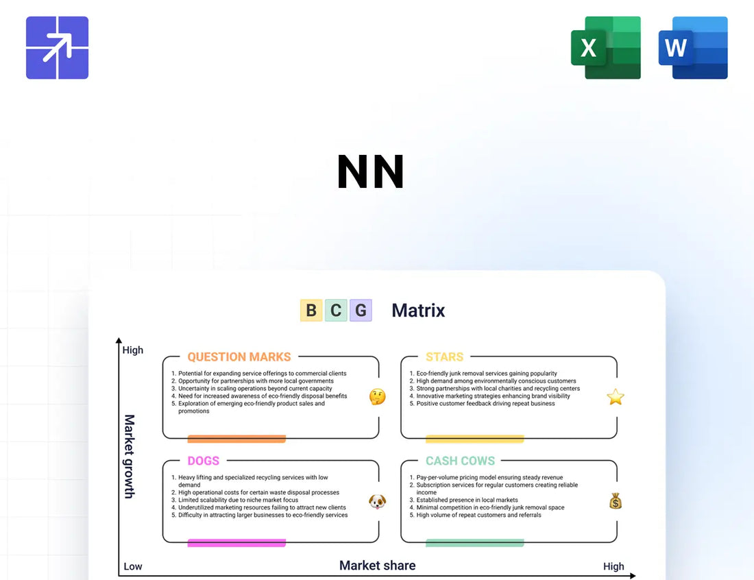 Nninc Bcg Matrix