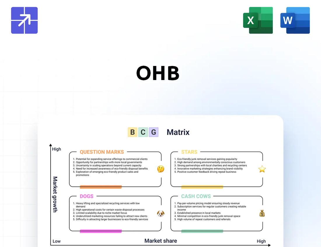 Ohb Bcg Matrix