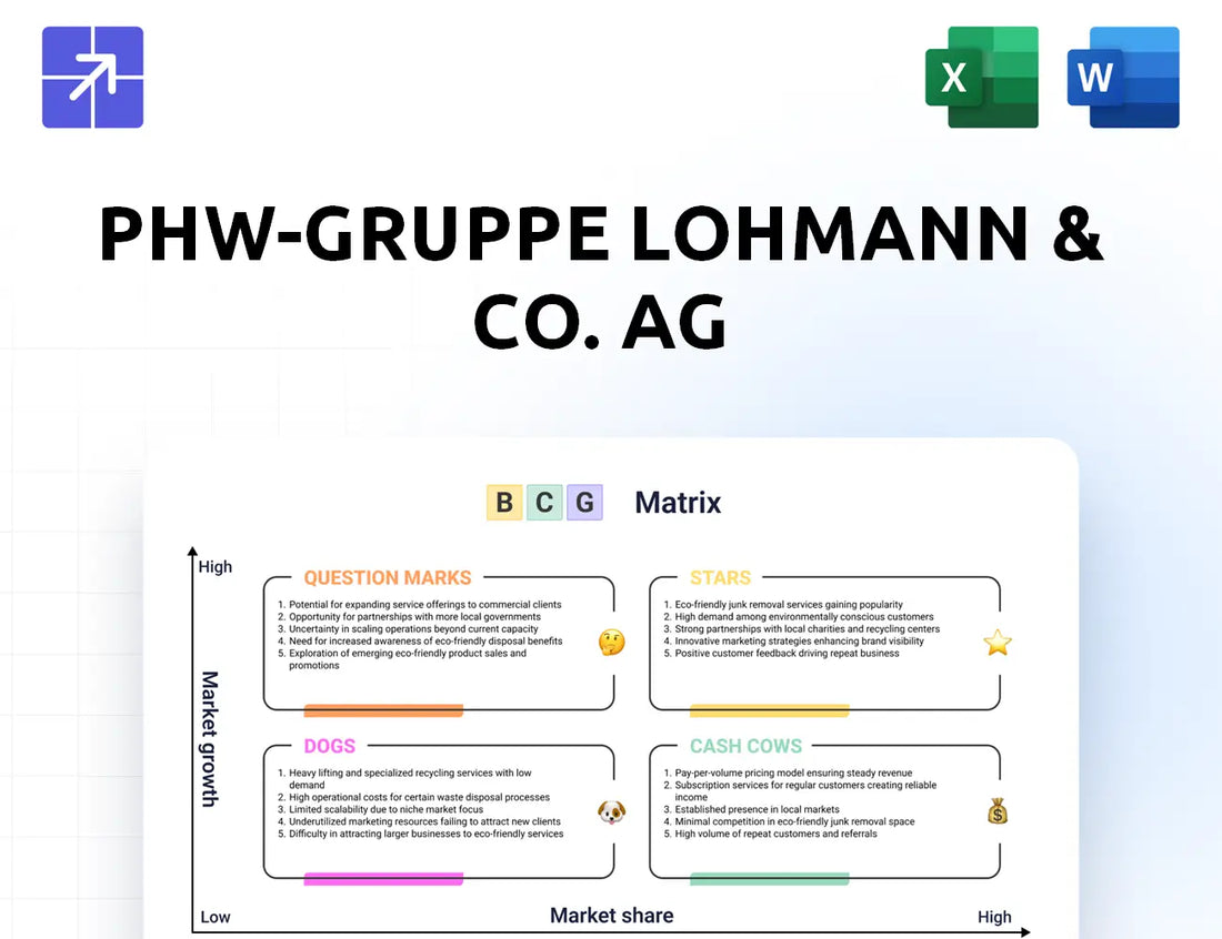 Phw Gruppe Bcg Matrix