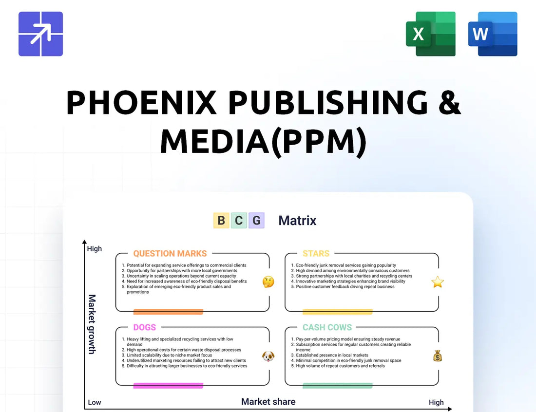 Ppm Bcg Matrix