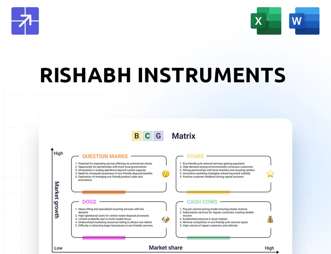 Rishabh Bcg Matrix