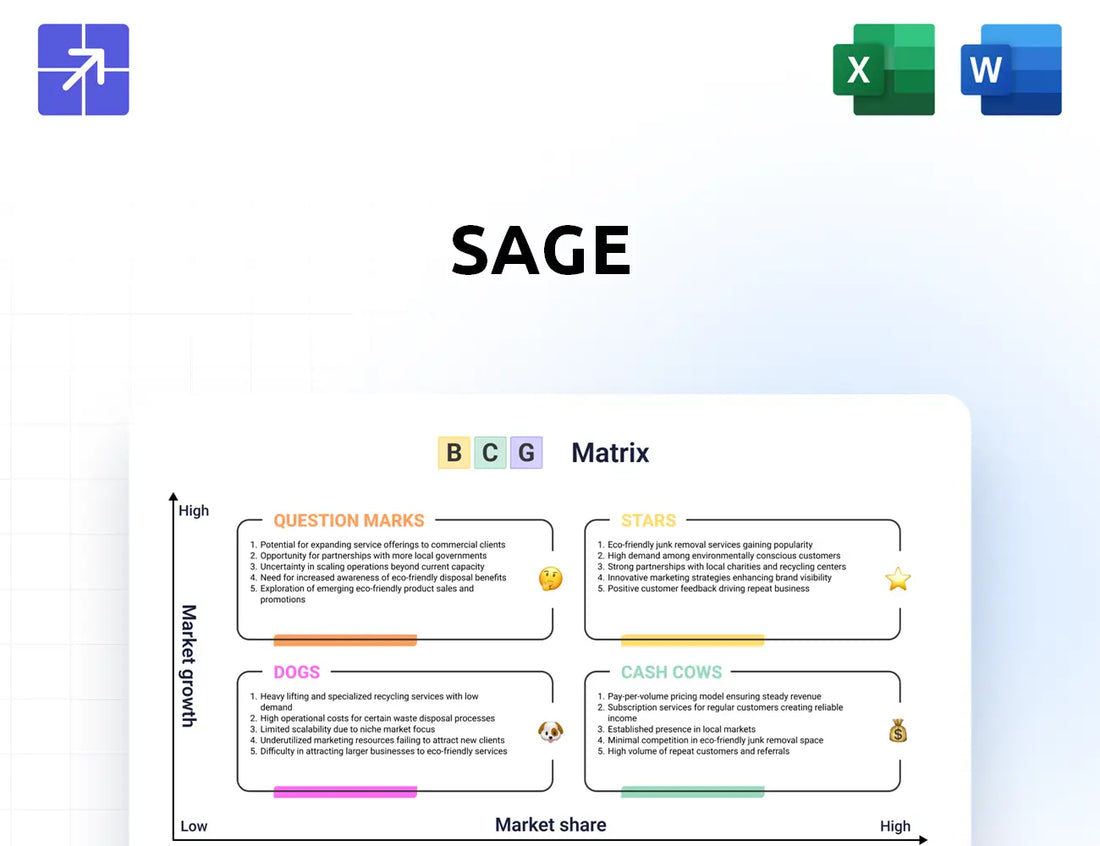 Sage Bcg Matrix