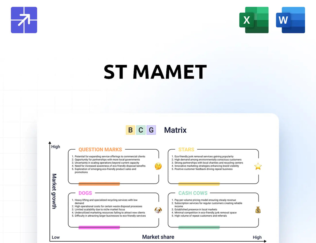 Saintmamet Bcg Matrix