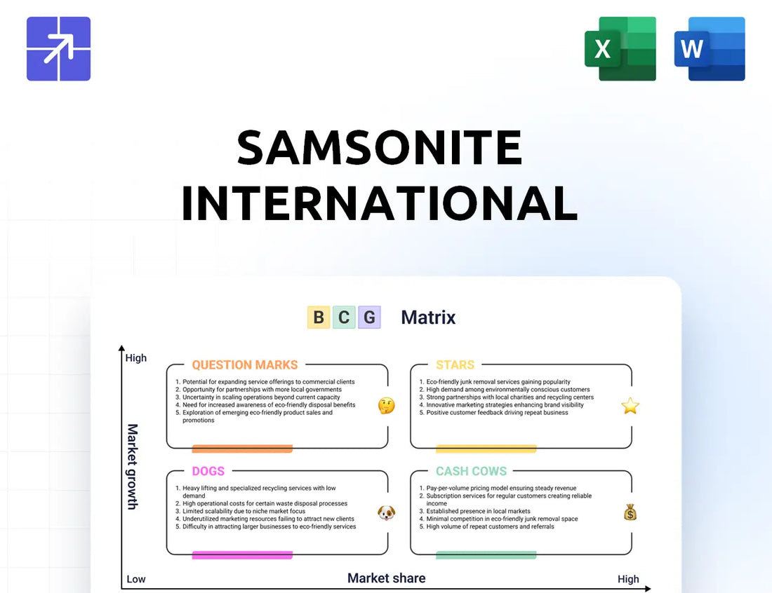 Samsonite Bcg Matrix