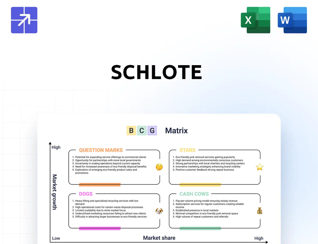 Schlote Gruppe Bcg Matrix