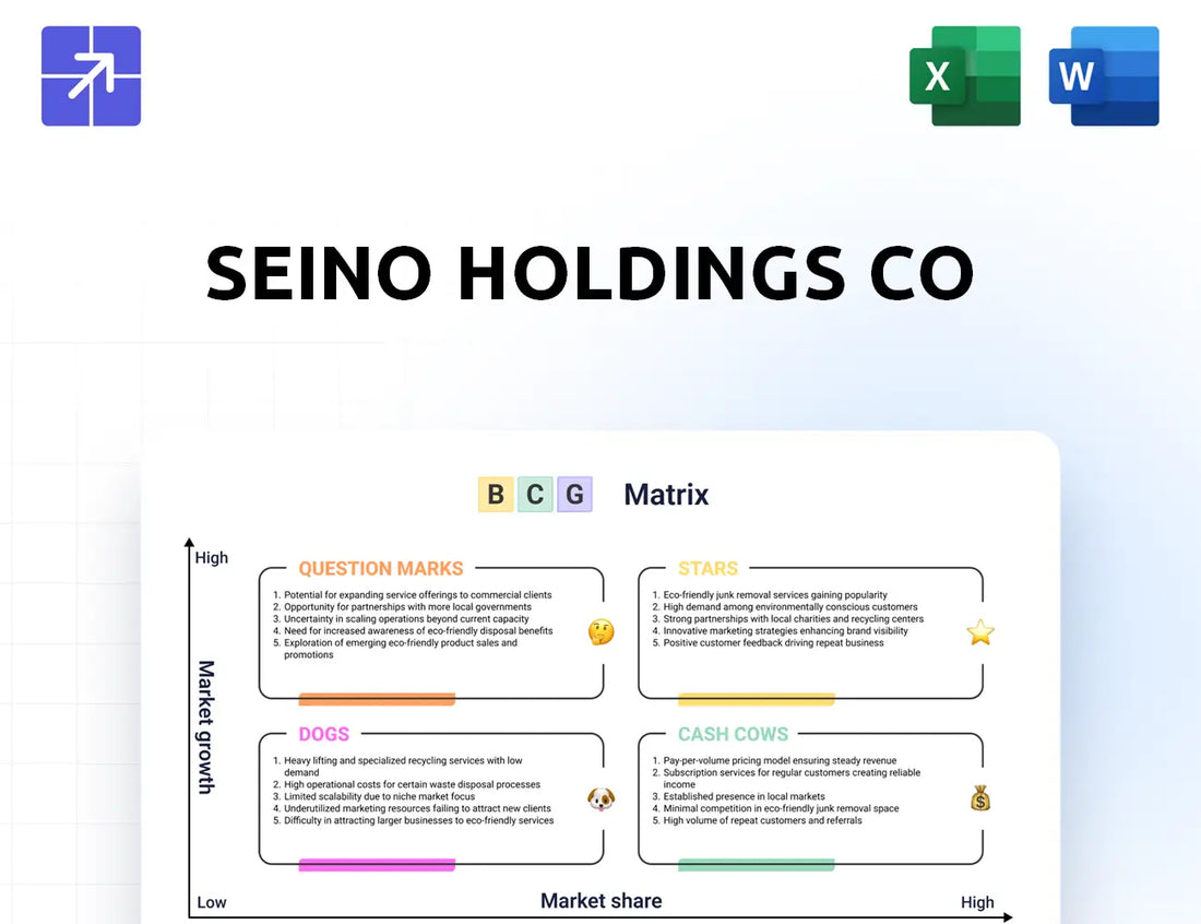 Seino Bcg Matrix