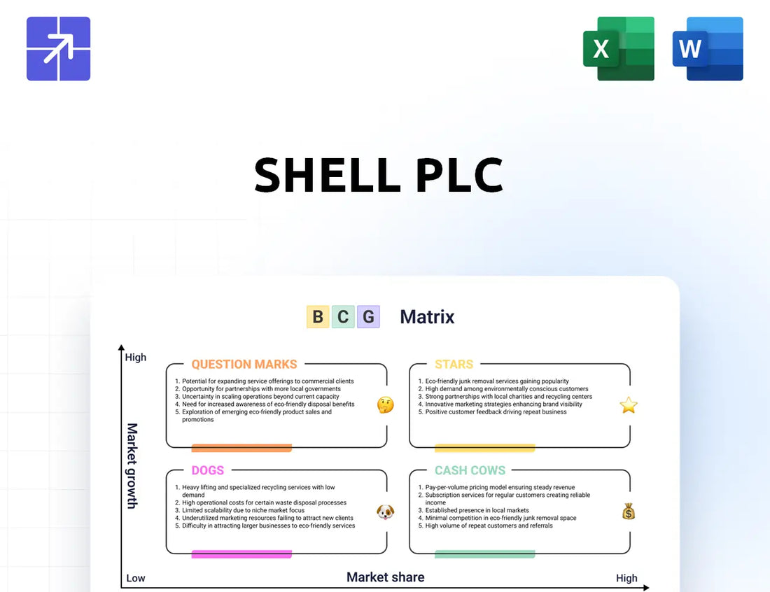 Shell Bcg Matrix