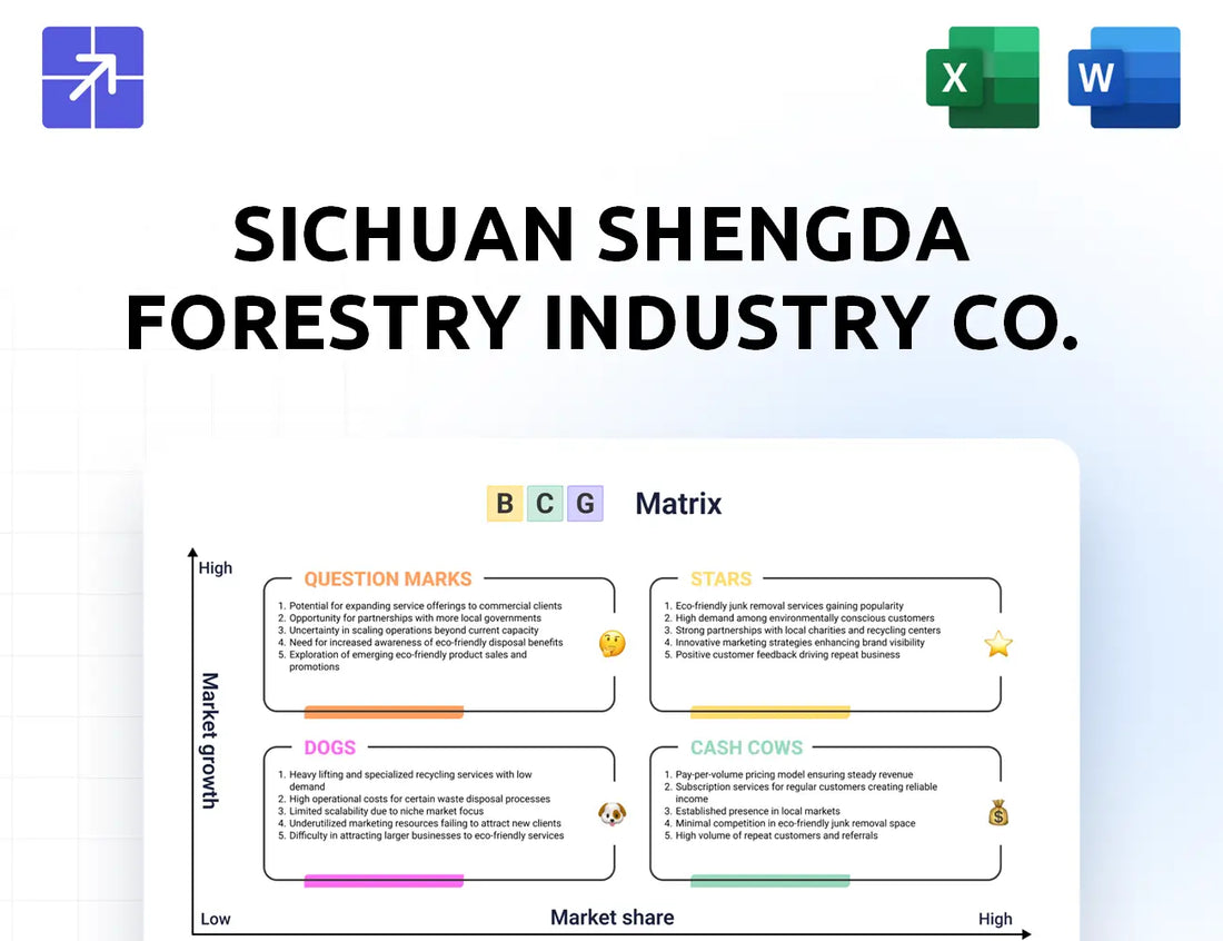 Shengdawood Bcg Matrix