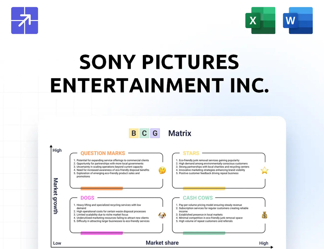Sonypictures Bcg Matrix