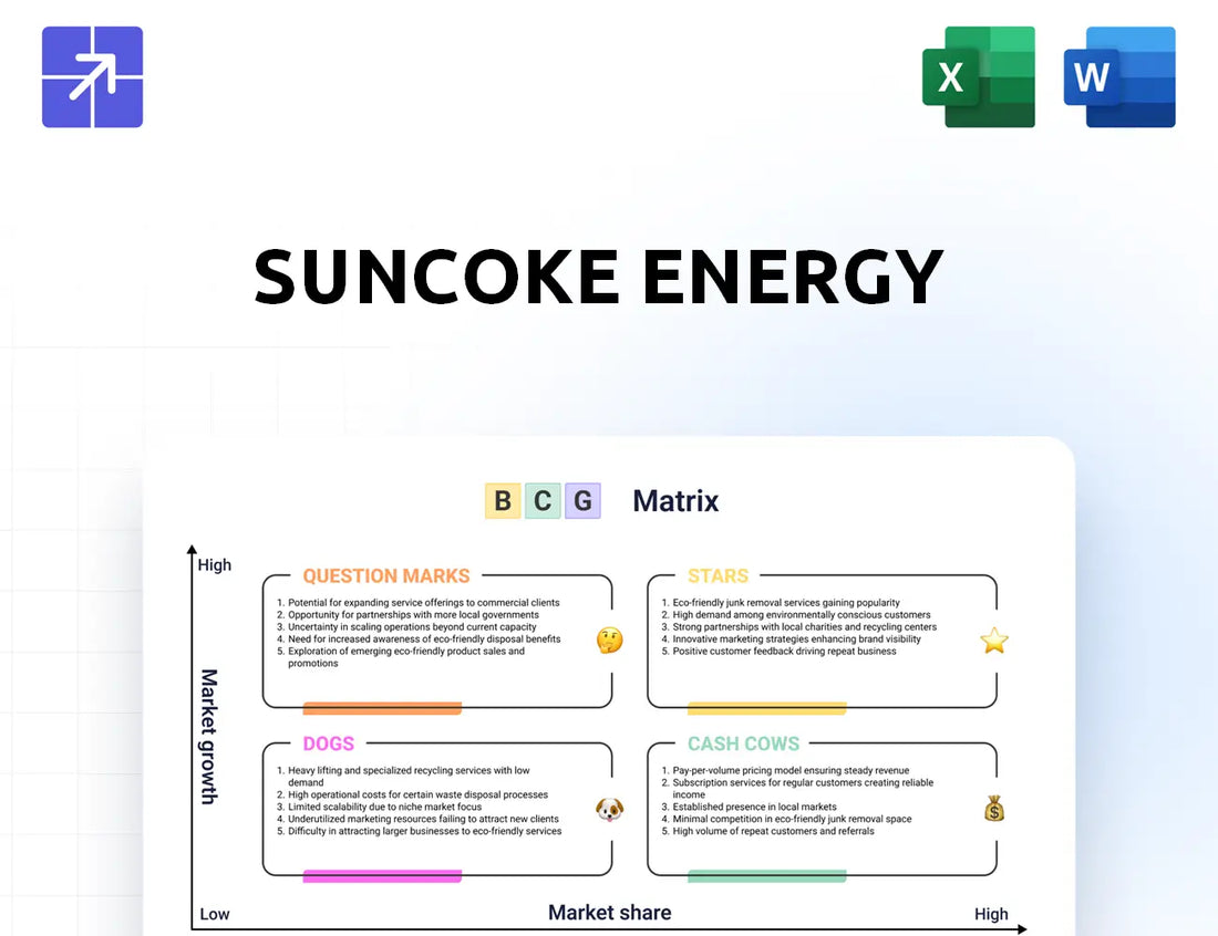 Suncoke Bcg Matrix