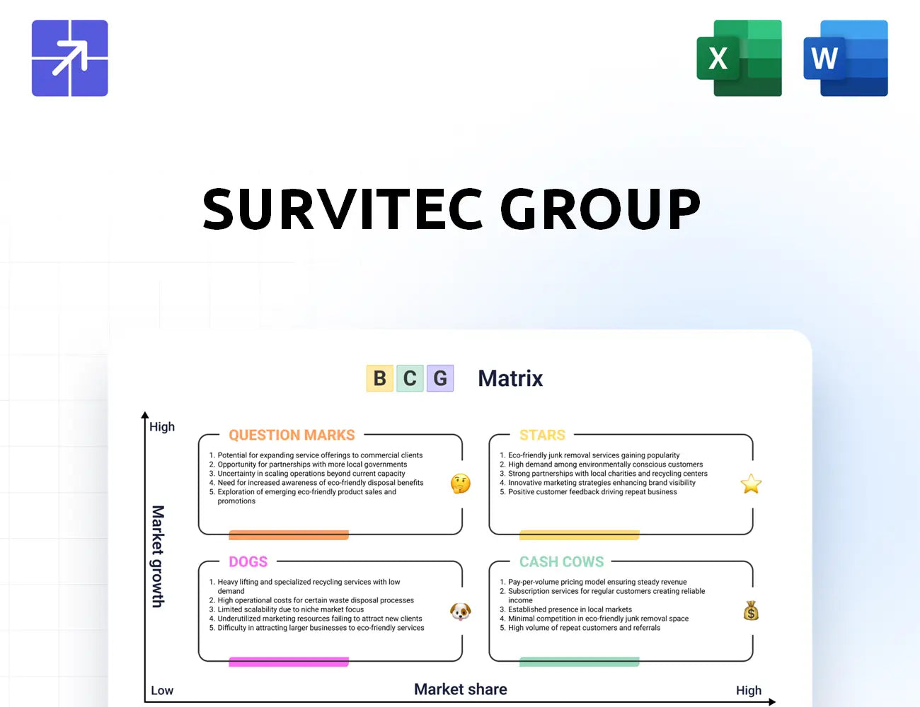 Survitecgroup Bcg Matrix