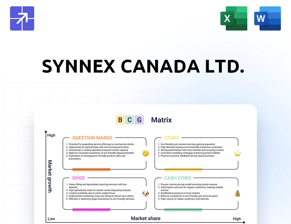 Synnex Bcg Matrix