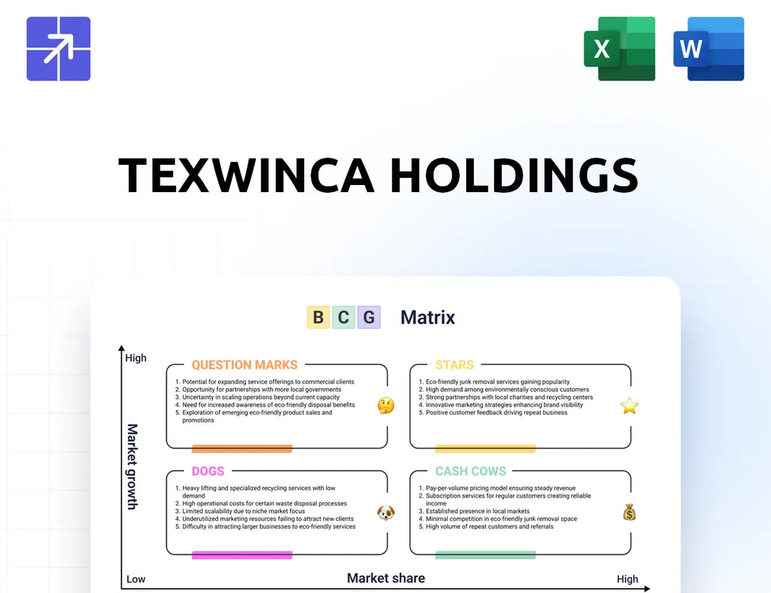 Texwinca Bcg Matrix