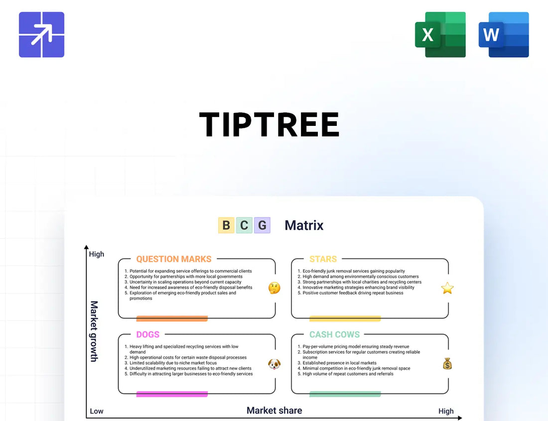 Tiptreeinc Bcg Matrix