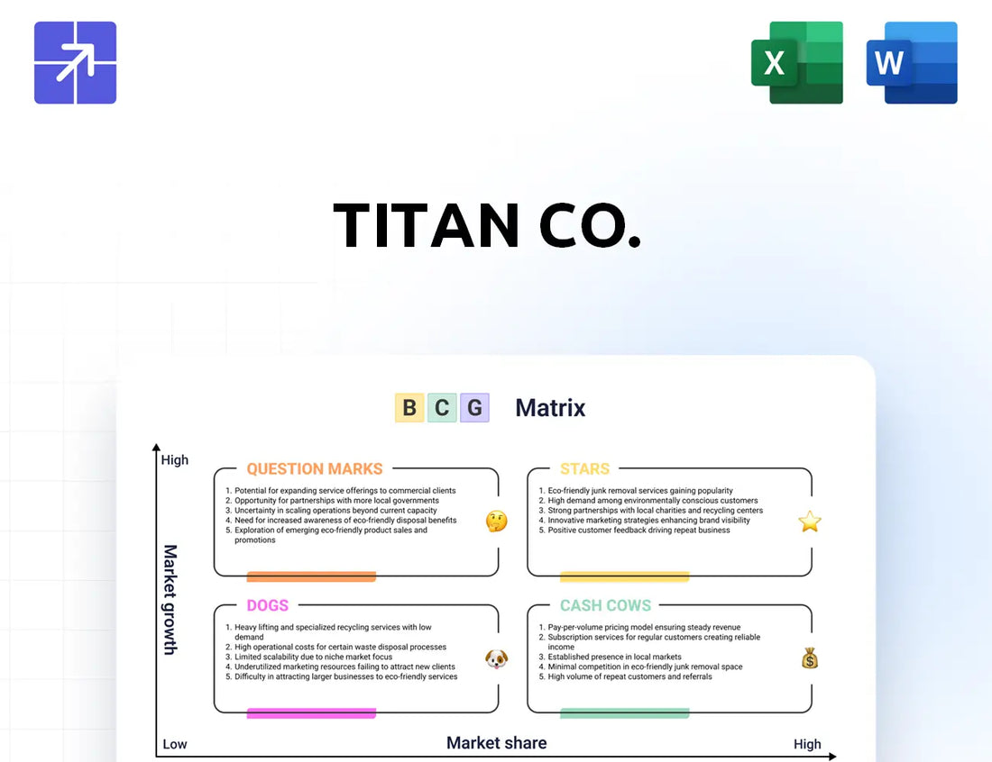 Titan Bcg Matrix