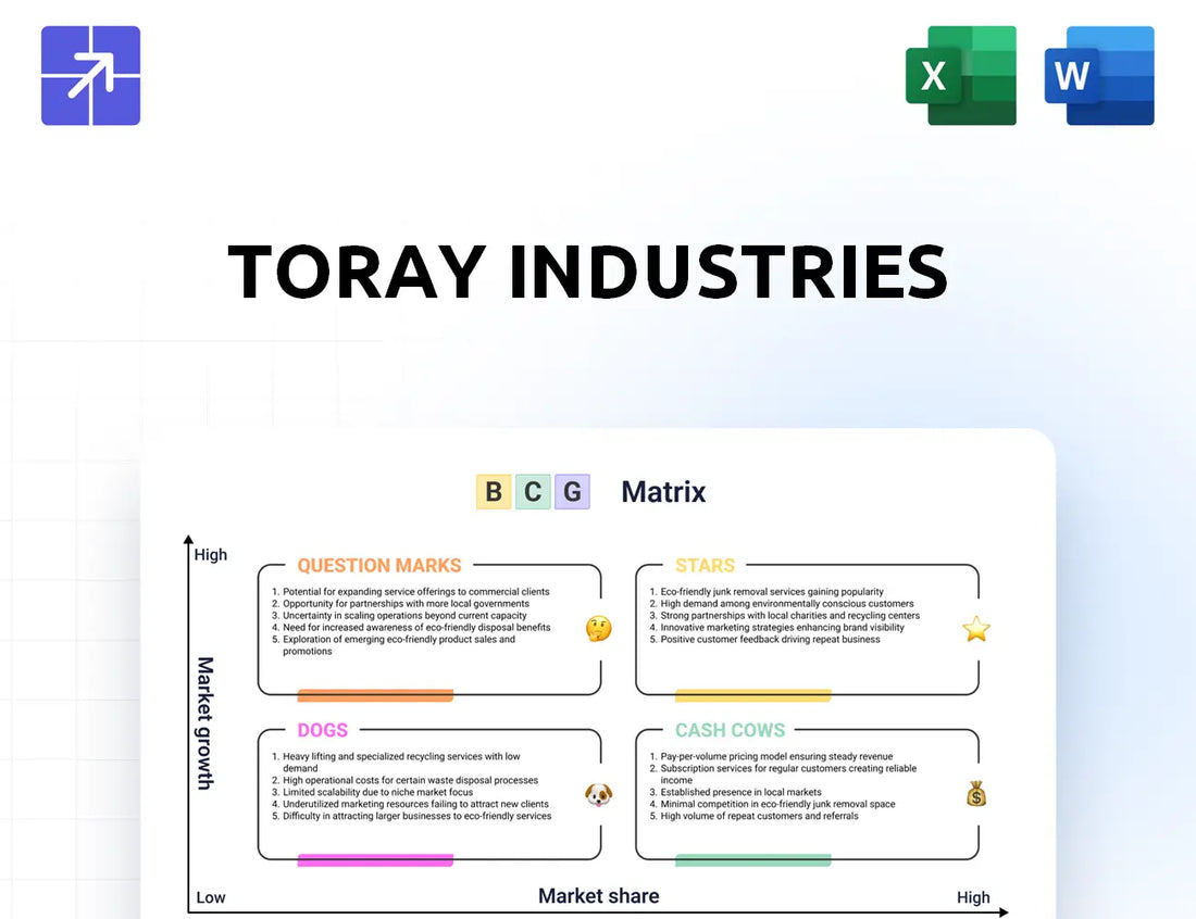 Toray Bcg Matrix