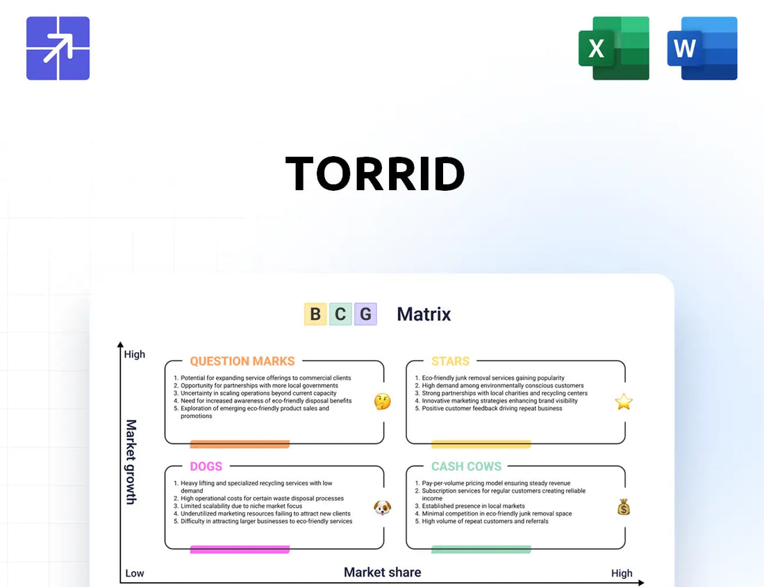 Torrid Bcg Matrix