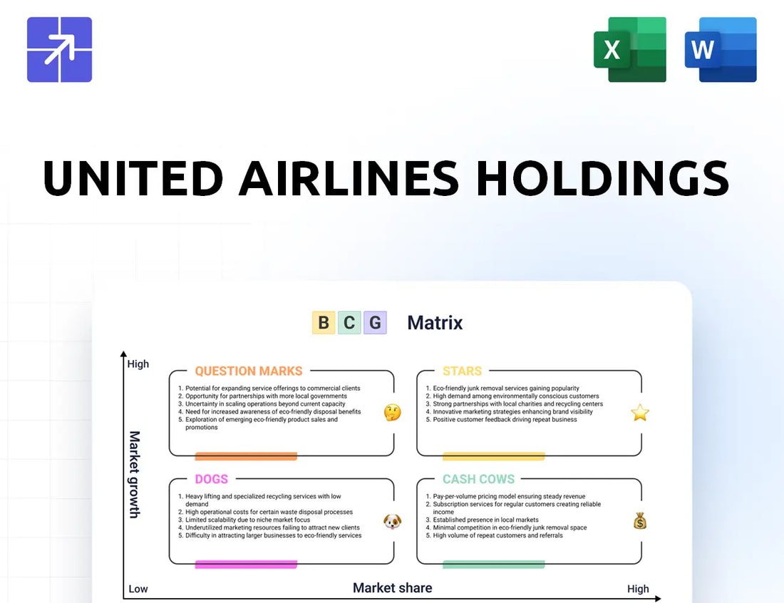 United Bcg Matrix