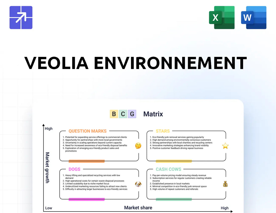 Veolia Bcg Matrix