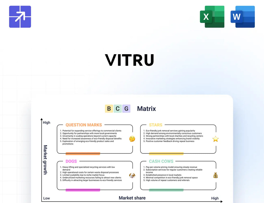Vitru Bcg Matrix
