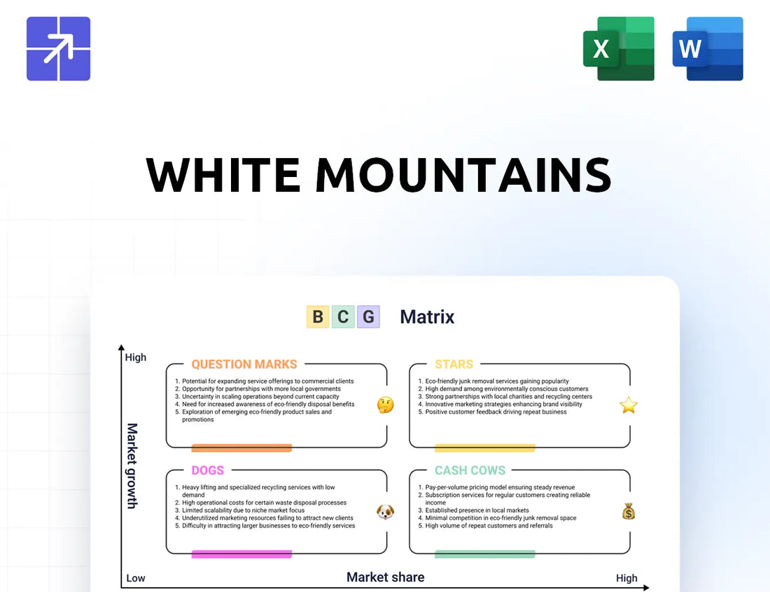 Whitemountains Bcg Matrix